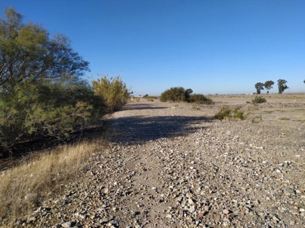 Terrenos de la futura vía verde de Lebrija