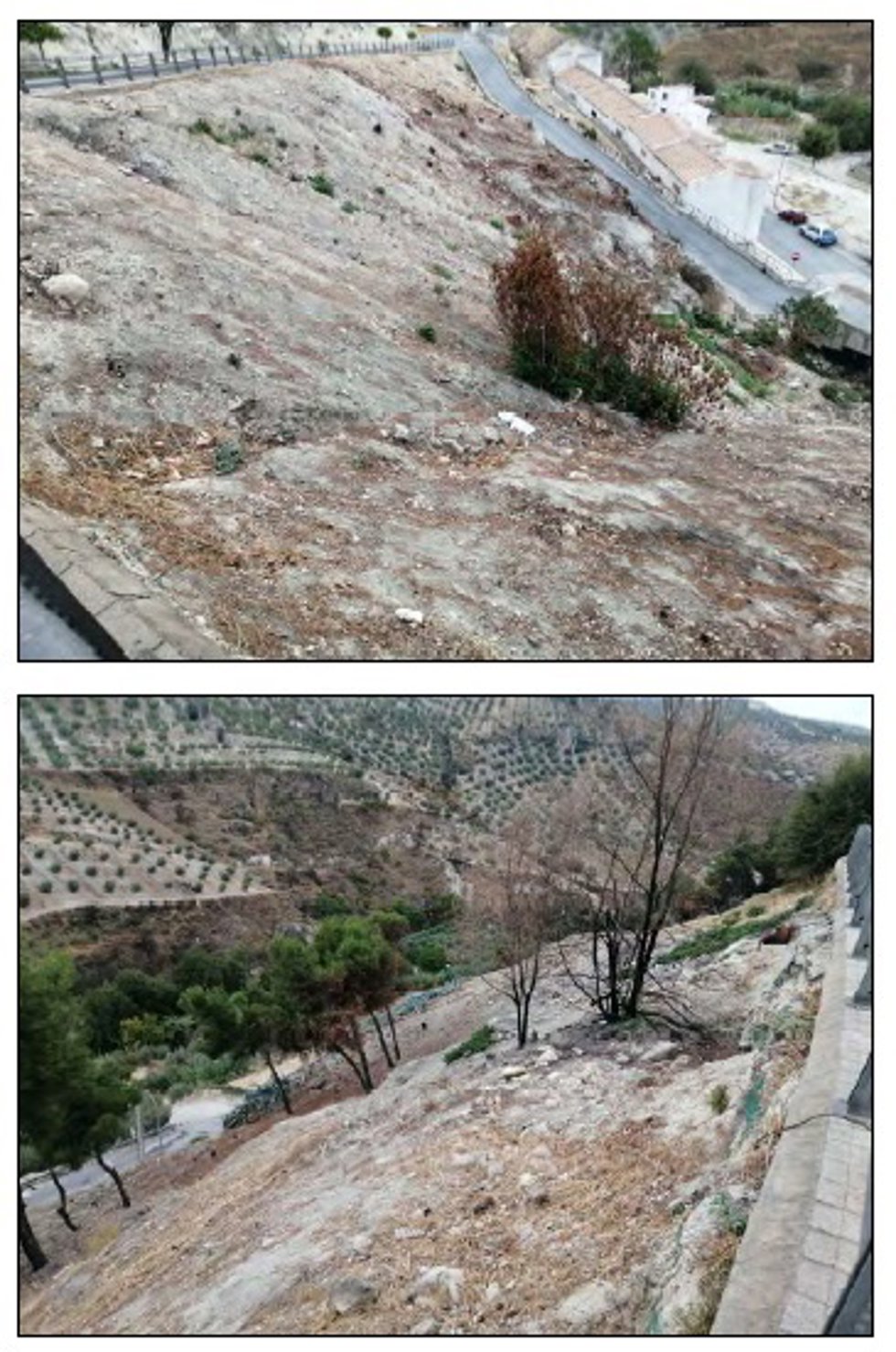 Dos de las zonas donde Cultura ha autorizado intervenir en Baena, en el entorno de la muralla.