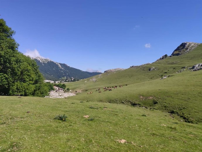 Archivo - Predominio de cielos despejados este domingo con temperaturas superiores a los 38 grados en algunos puntos del país