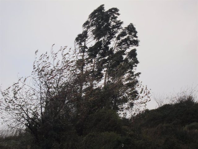 Archivo - Imagen de Archivo. Racha de viento