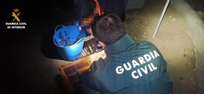 Intervención de la Guardia Civil