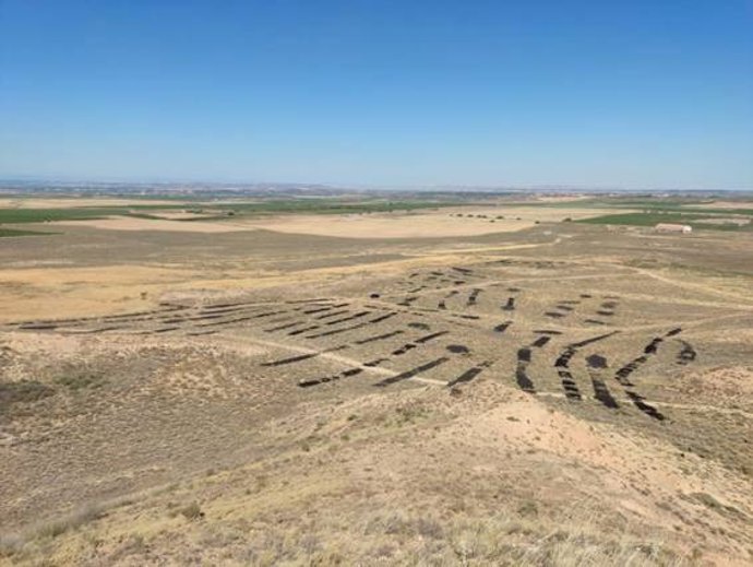 Panorámica de Hábitats de Comunitario en las parcelas del proyecto
