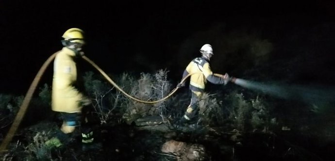 Efectivos del Ibanat sofocan un incendio forestal iniciado la noche del 31 de diciembre en Andratx