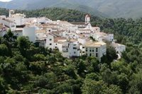 Diputación dedica 1,7 millones a reparar 13 kilómetros de tuberías de agua afectadas por el incendio de Sierra Bermeja