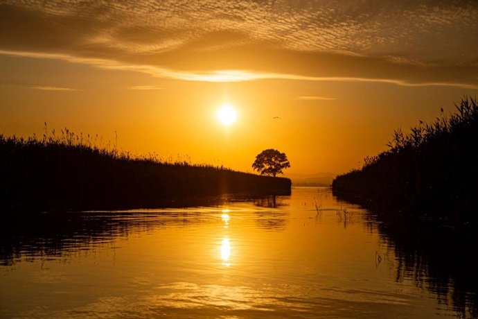 Atardecer invernal en la Albufera