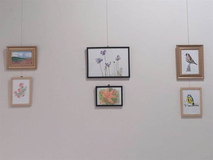 Ángela Redondo expone su visión de la naturaleza  en la casa de cultura Arrupe de Aretxabaleta (Gipuzkoa)