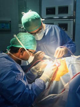 [L Mmcc.Huvmr.Sspa] Neurocirujanos Del Virgen Del Rocío Consolidan Una Compleja Técnica De Bypass Que Garantiza El Aporte Sanguíneo Al Cerebro