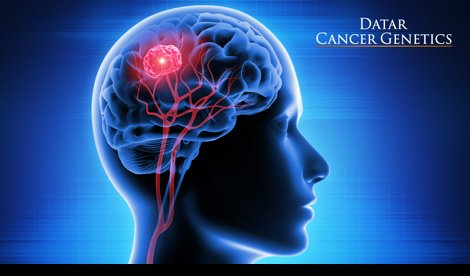 Comunicados Internacional