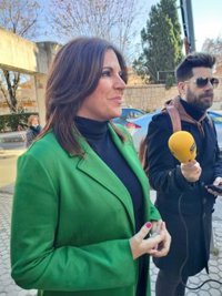 Férriz (PSOE-A) critica la "hipocresía" del PP ante el caso ERE: "Es una cacería política con gente honesta en prisión"