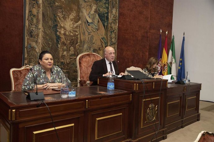 El presidente de la Diputación de Córdoba, Antonio Ruiz, durante el Pleno extraordinario de Presupuestos.