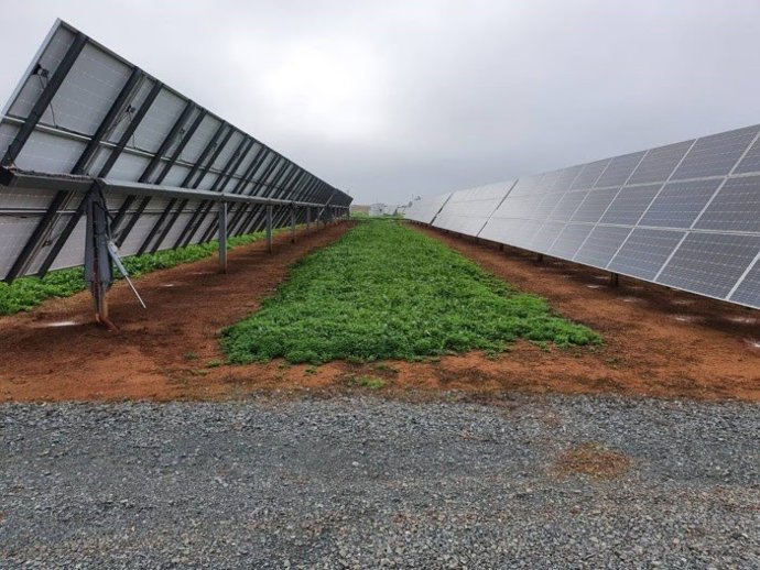 Planta solar en la comunidad de regantes del Valle Inferior del Guadalquivir.