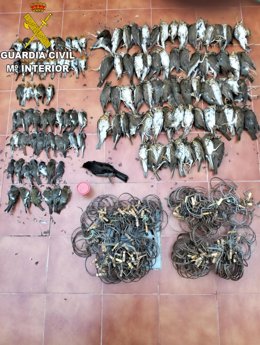 La Guardia Civil detiene a un furtivo con más de un centenar de aves cazadas ilegalmente en la sierra de Cádiz