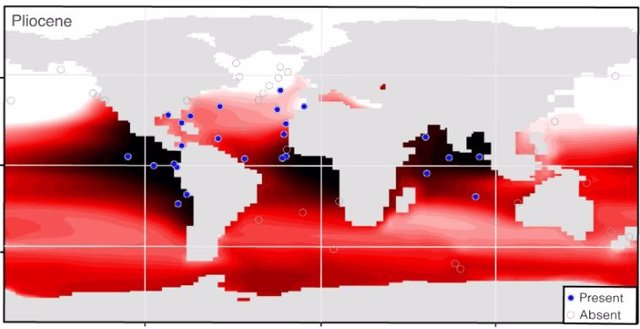 Distribución del foraminífero planctónico G. Hexagonus afiliado a bajo oxígeno y del oxígeno a 600 m en los océanos modernos y del Plioceno.