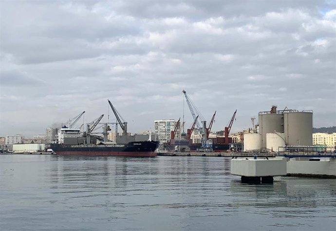 Buques de carga de granel en el puerto de Málaga.