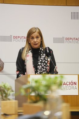 La presidenta de la Diputación de Pontevedra, Carmela Silva, en rueda de prensa.