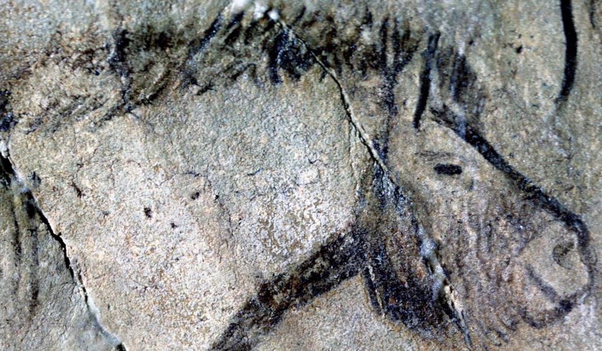 Descifrados como signos de calendario lunar marcas en dibujos de 20.000 años