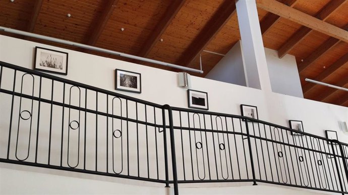 Las aves protagonizan una exposición de Juan Valiente, en el CEA Ítaca José Luis Iranzo de Andorra.