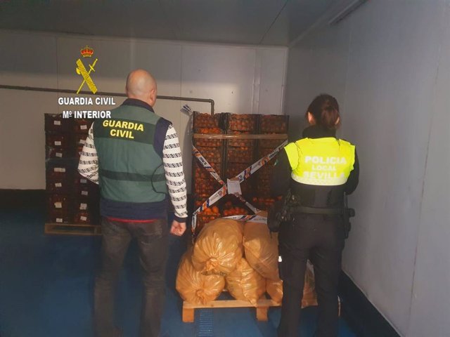 Operación contra el robo de cítricos en fincas de la provincia de Sevilla.
