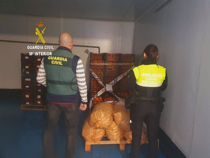 Operación contra el robo de cítricos en fincas de la provincia de Sevilla.