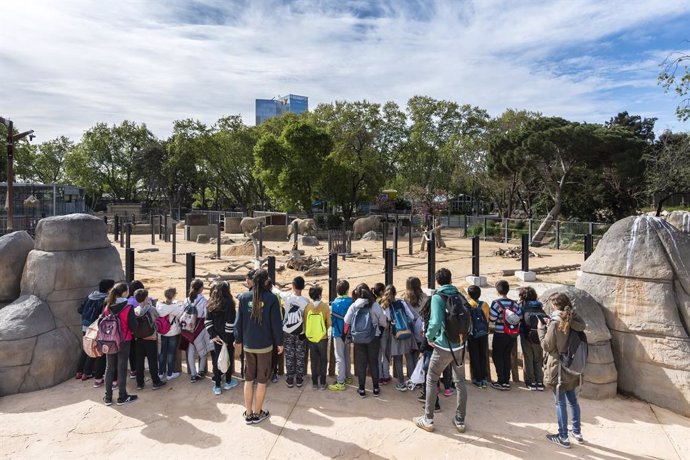 Imatge d'una de les activitats organitzades al Zoo de Barcelona