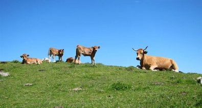 Asturias Rural