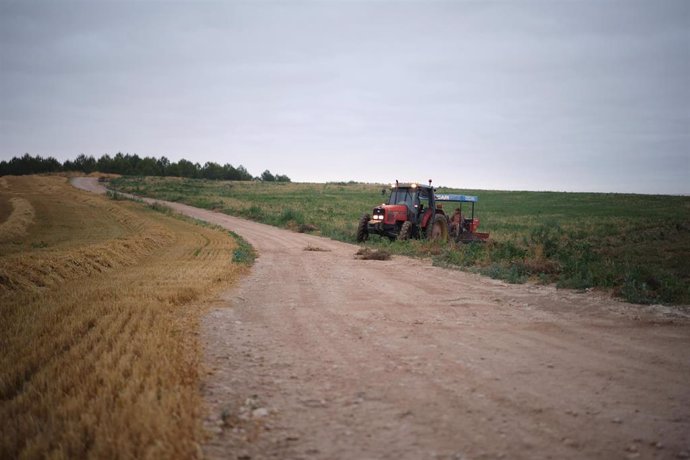 Archivo - Un tractor durante la recogida del ajo morado en un campo en Las Pedroñeras, Cuenca, Castilla La-Mancha (España). 