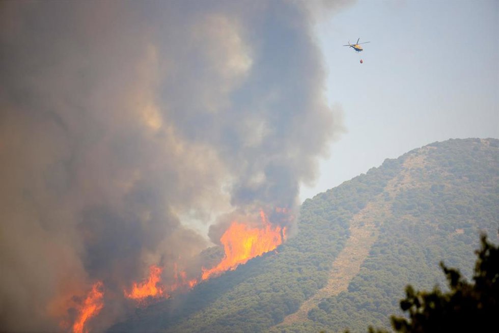 Archivo - Incendio forestal, archivo