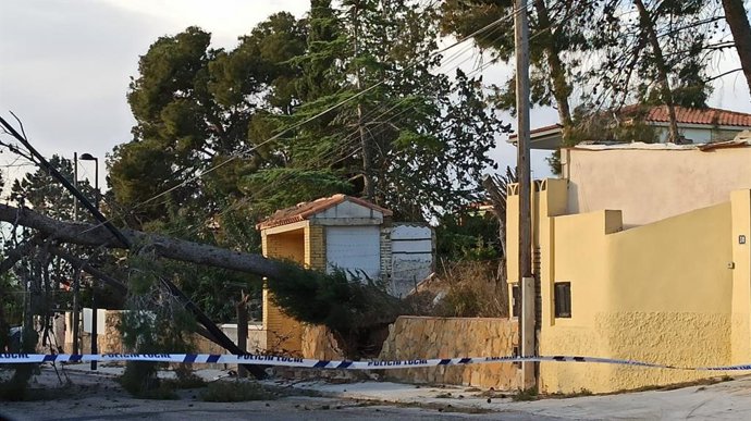 Archivo - Temporal de viento en imagen de archivo  