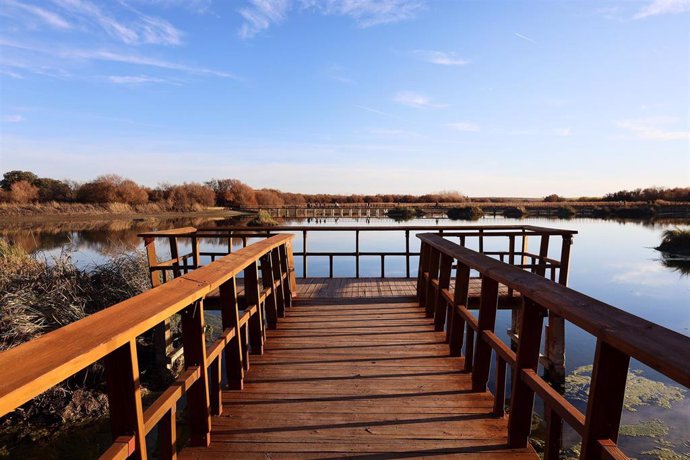 Humedal del parque nacional de las Tablas de Daimiel, a 29 de diciembre de 2022, en Ciudad Real, Castilla-La Mancha (España). El humedal de las Tablas, de casi 2.000 hectáreas de zona inundable, tenía solo 50 ha de agua este verano, la falta de lluvias 