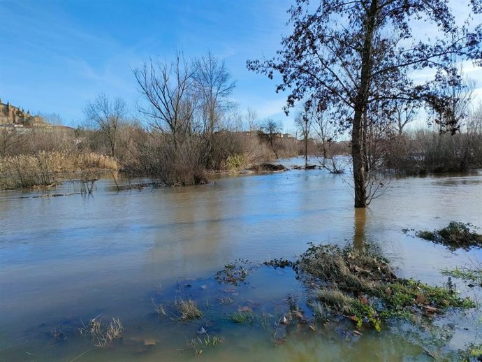 El río Tormes a su paso por la capital salmantina.