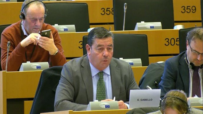 El Presidente Del Sector Aceituna Mesa De Cooperativas Agro-Alimentarias De España, Gabriel Cabello,