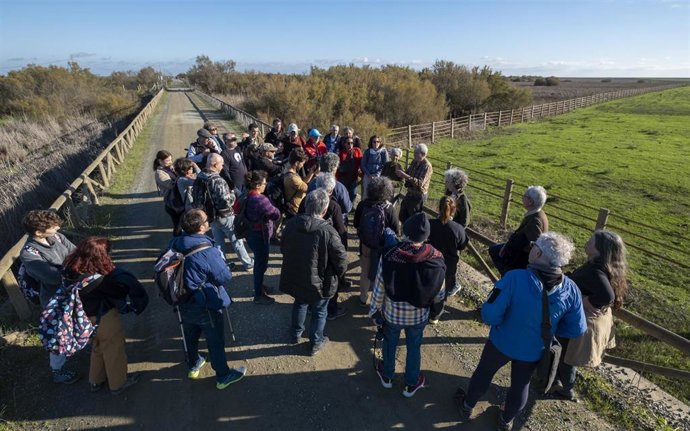 Imagen de la visita de miembros de Ecologistas en Acción a las marismas sevillanas de Doñana.