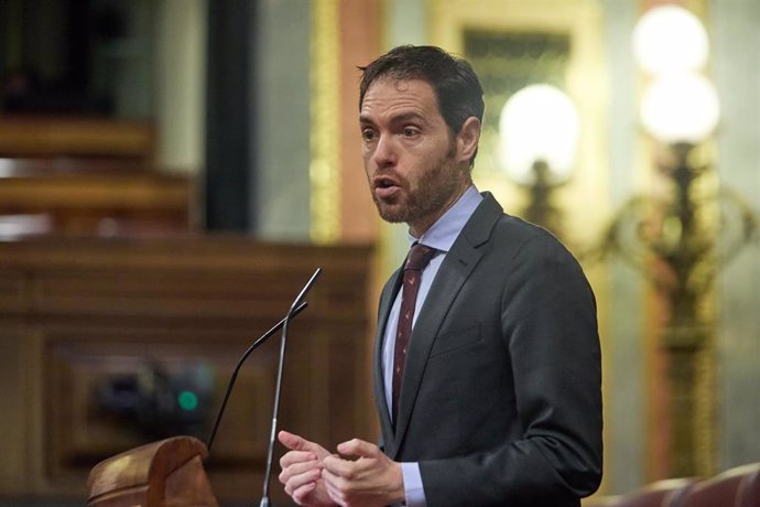 El diputado por Navarra Sergio Sayas interviene durante una sesión plenaria, en el Congreso de los Diputados, a 15 de diciembre de 2022, en Madrid (España).