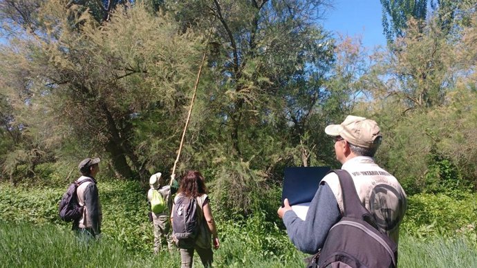 Más de 750 personas han formado parte del Voluntariado Ambiental en el Galacho de Juslibol.
