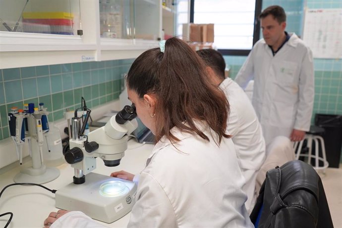 Investigadores de la UCV desarrollan un pintalabios antimicrobiano que impide la propagación de virus, bacterias y hongos