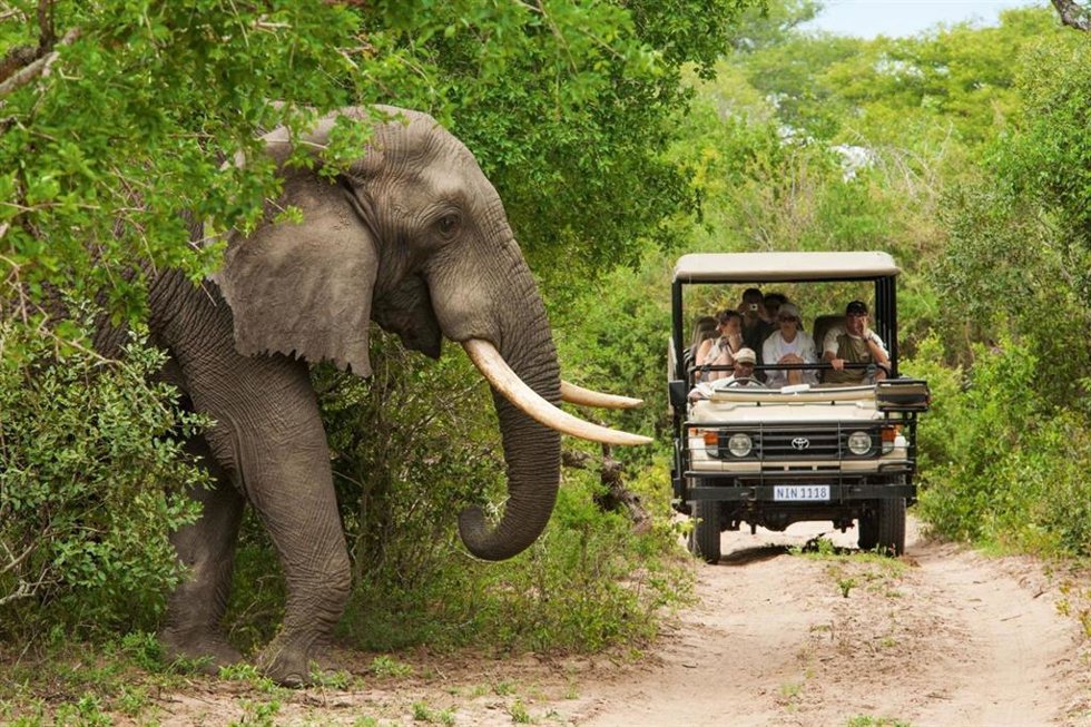 Archivo - Turismo familiar en Sudáfrica.
