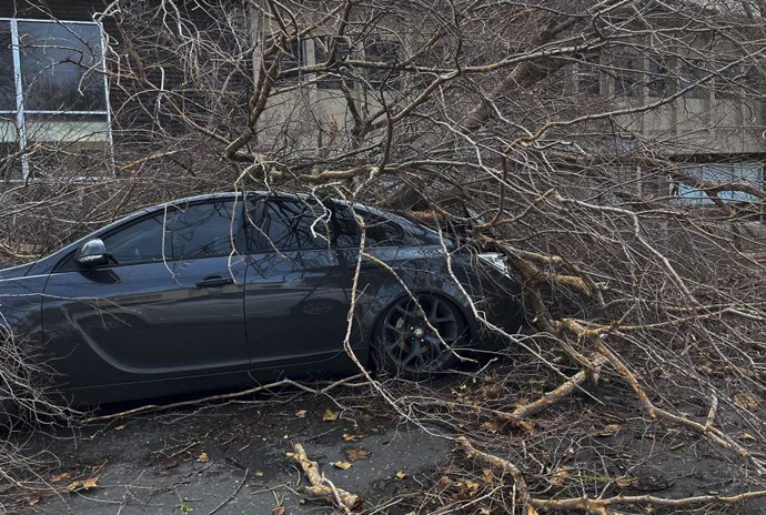 Daños por las tormentas en Sacramento, California