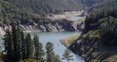 Energía y Medio Ambiente