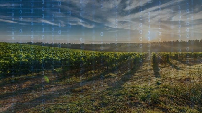 Familia Torres se inicia en el Cloud Computing y adopta un data center moderno con IPM