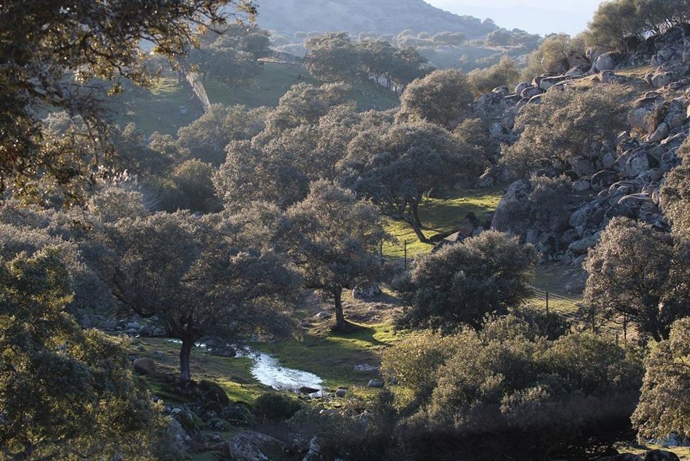 Parque Natural de la Sierra de Andújar