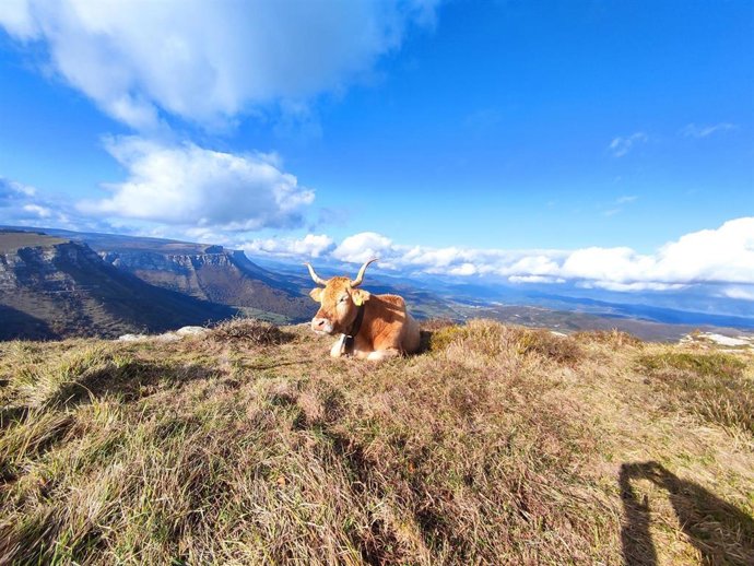 Archivo - Nubes y claros en el alto de Orduña, entre Álava y Burgos
