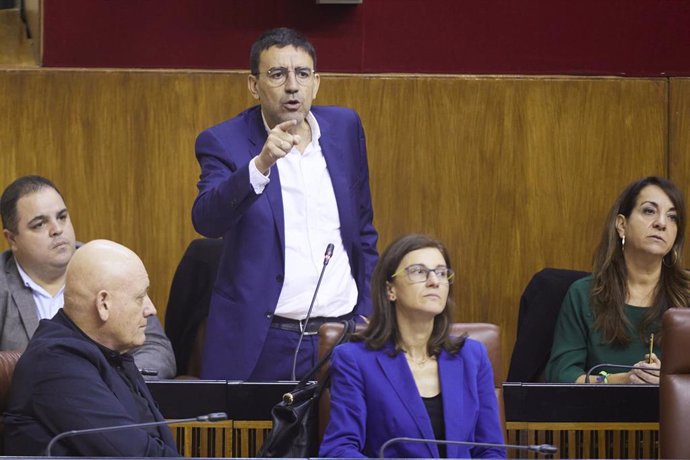 El diputado del Grupo Parlamentario Socialista, Mario Jiménez, realiza una pregunta oral al consejero de Presidencia, Interior y Diálogo Social de la Junta de Andalucía, Antonio Sanz, en el Pleno del Parlamento andaluz (Foto de archivo).