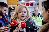 Sanz pide a Maestre que "se relaje" y dice que sus cifras sobre incidencias en el 010 son "absolutamente falsas"