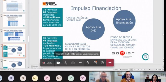 Iervención del director general de Planificación y Desarrollo Económico, Miguel Luis Lapeña, en la jornada online 'Ayudas en economía circular'.