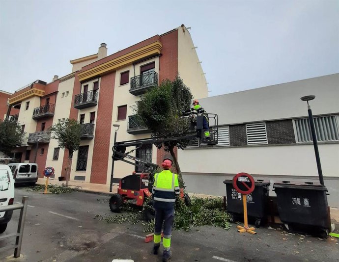 Trabajos de poda en la calle Betania