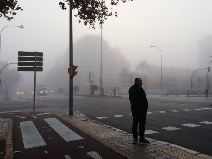 Niebla en el Paseo Mallorca de Palma.