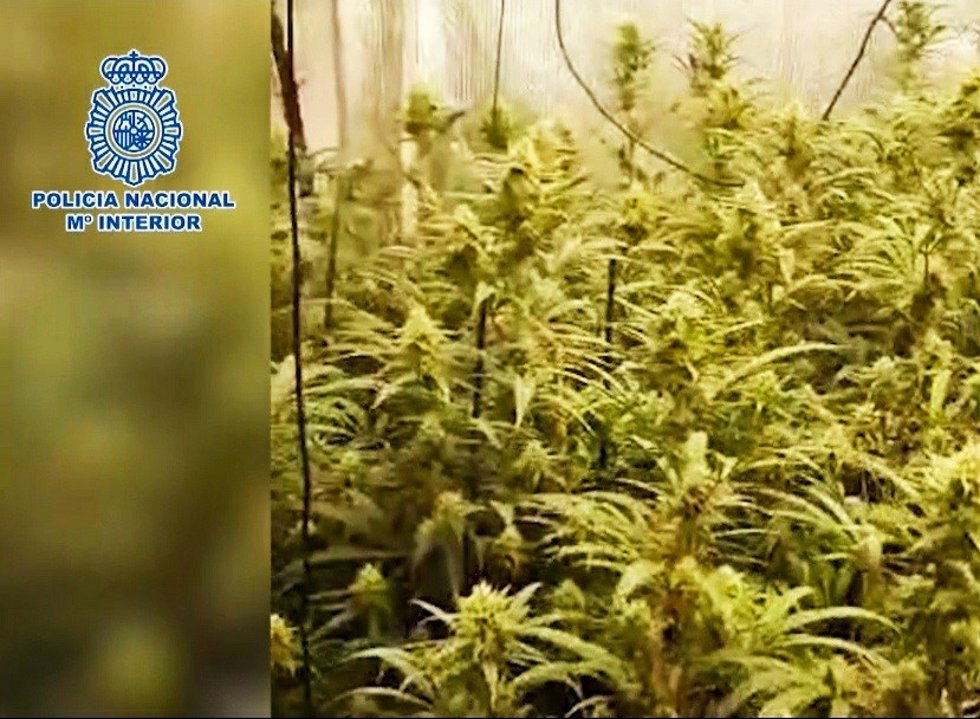 Nueve detenidos y desarticulados tres narcopisos en Vallecas