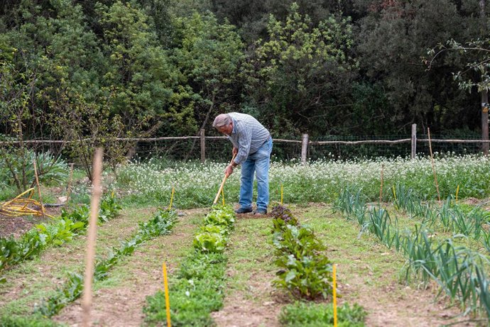 Archivo - Un pags cultiva un hort.