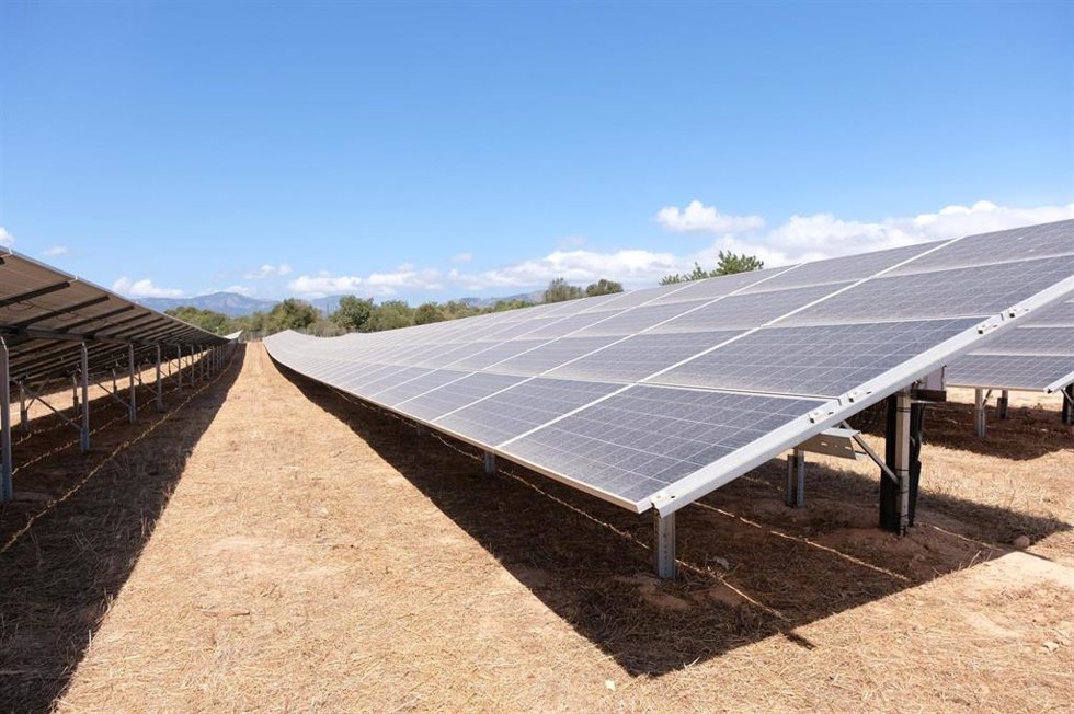 Una fila de placas fotovoltaicas.