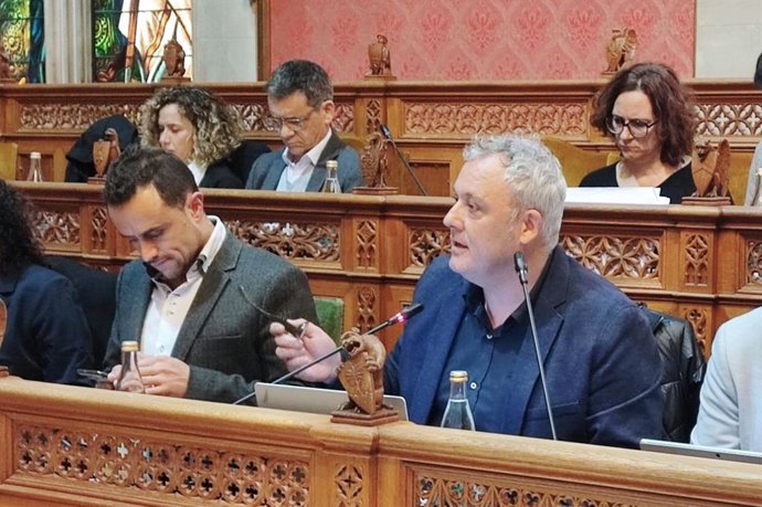 El conseller insular de Promoción Económica y Desarrollo Local, Jaume Alzamora, ante el pleno del Consell de Mallorca.